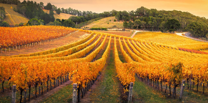 Art, Heritage & Wine Country Luxe