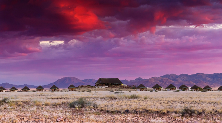 Intention #1 Choose Stillness Over Speed