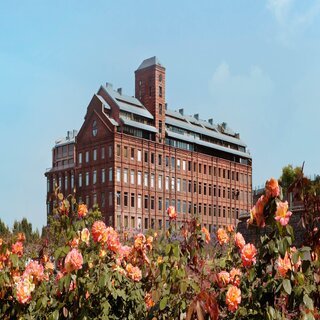faena, buenos aires