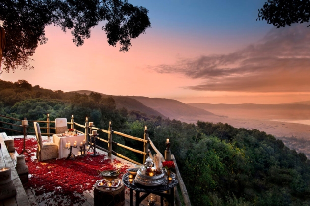 Romantic private dinner
