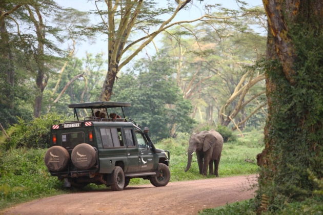 Safari in the crater