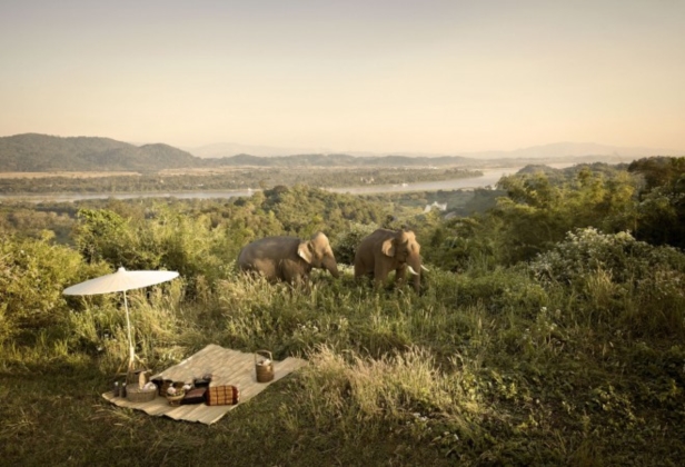 Dining by Design