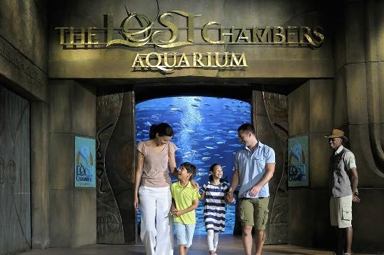 Lost Chamber Aquarium