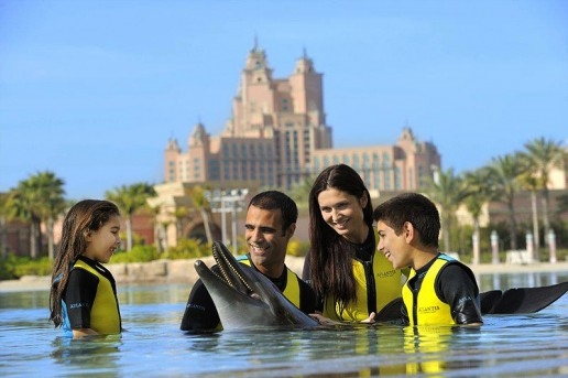 Dolphin Bay