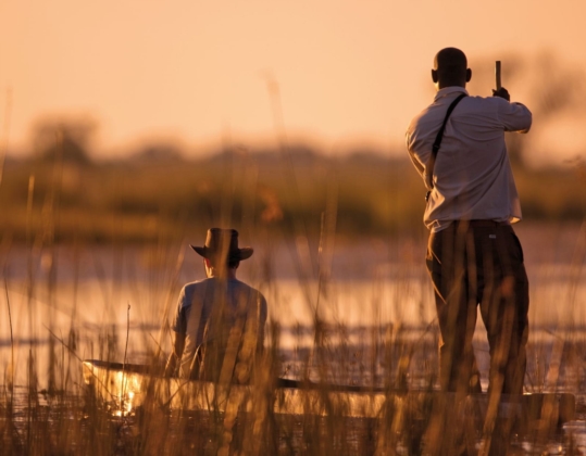 Canoe Safari