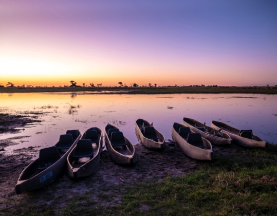 First Light Botswana