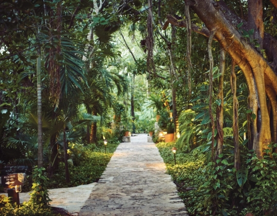 Walking paths
