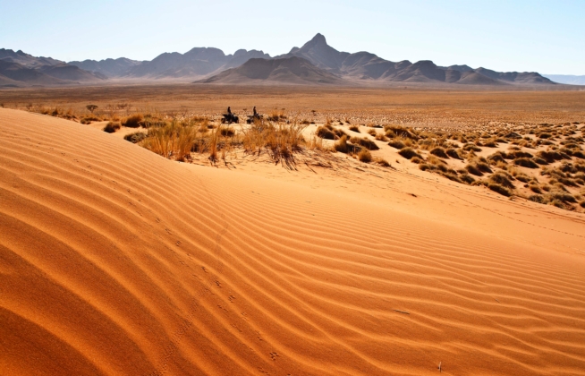 Desert Landscape