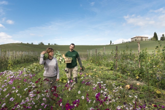 Organic Farm