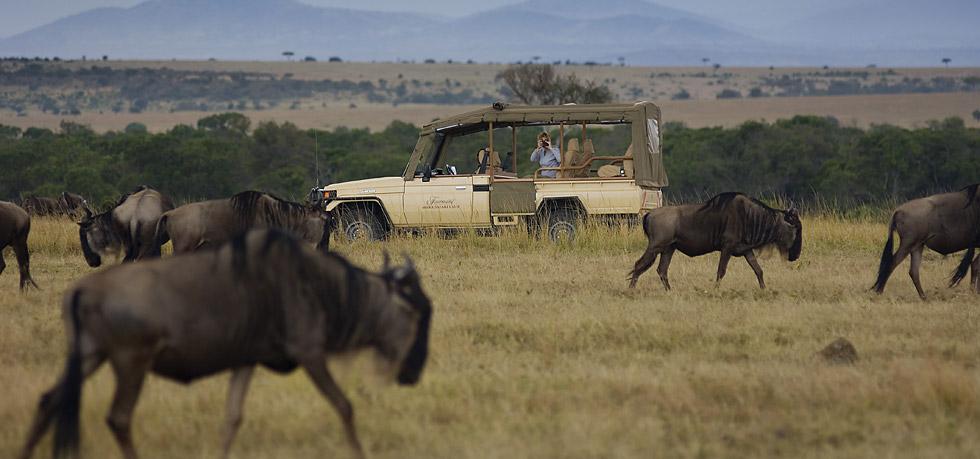 Game drive