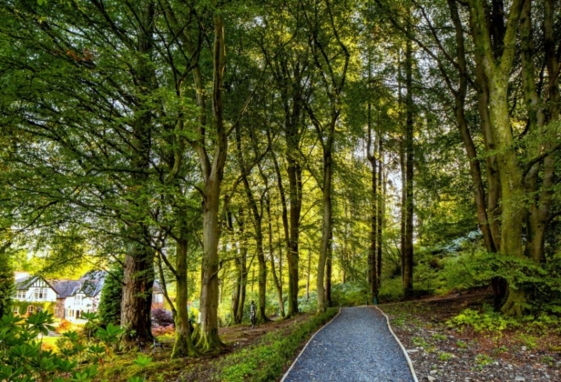 Walking trail
