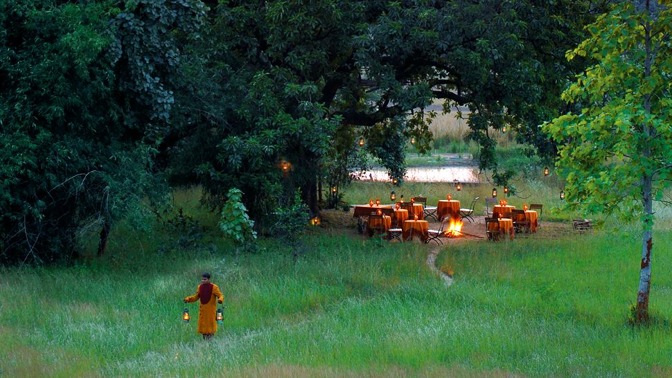 Dining in the woods