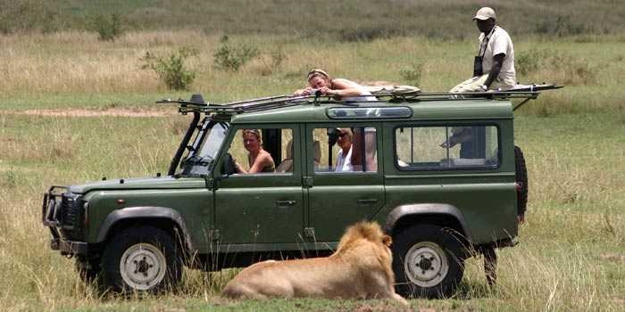 Game Drives