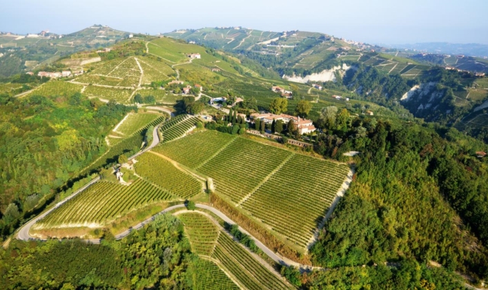 Vineyards