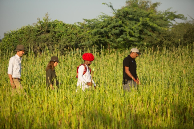 Rabari Walk