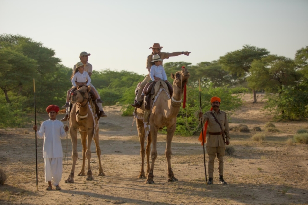 Camel rides in the desert