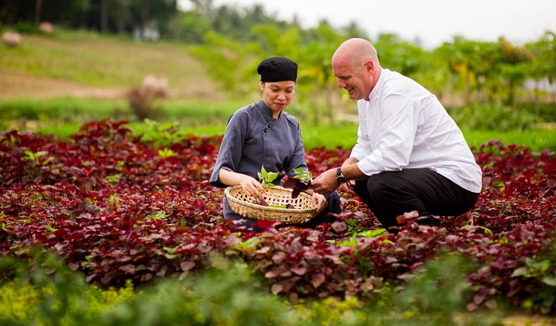 Organic Garden