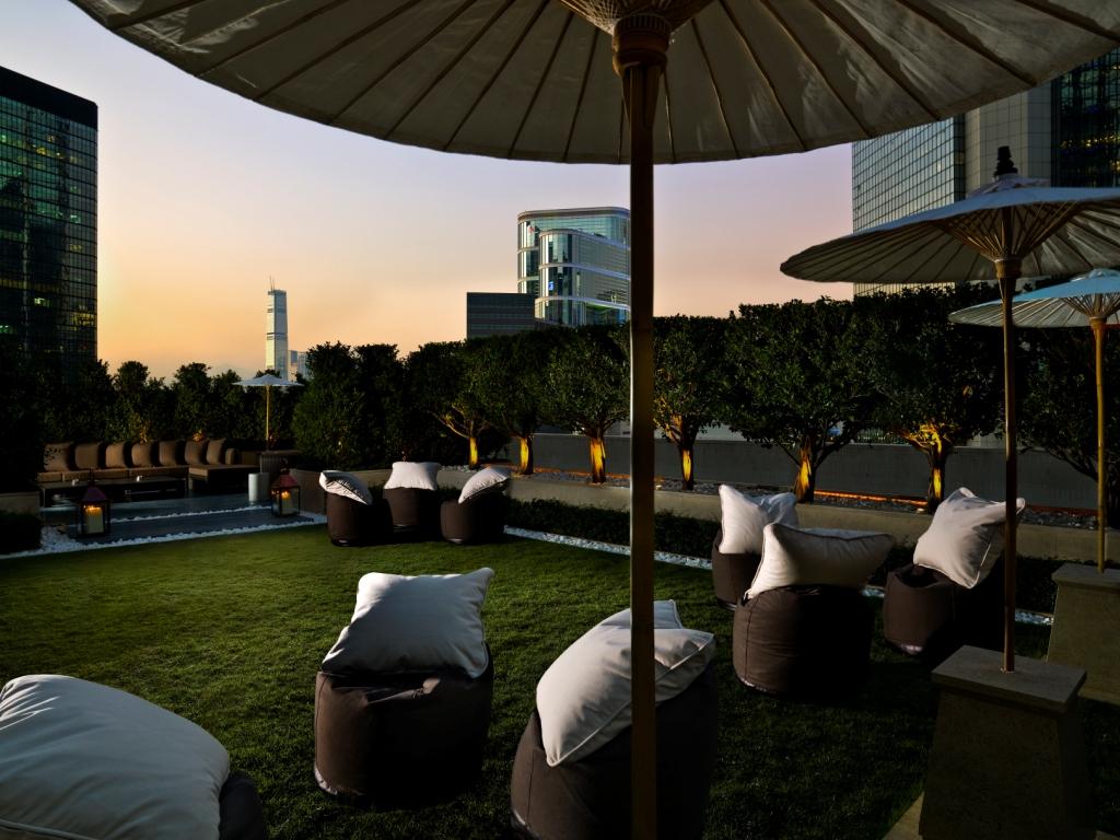 The lawn