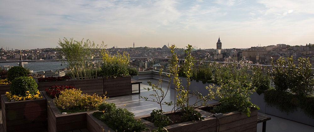 Roof Garden